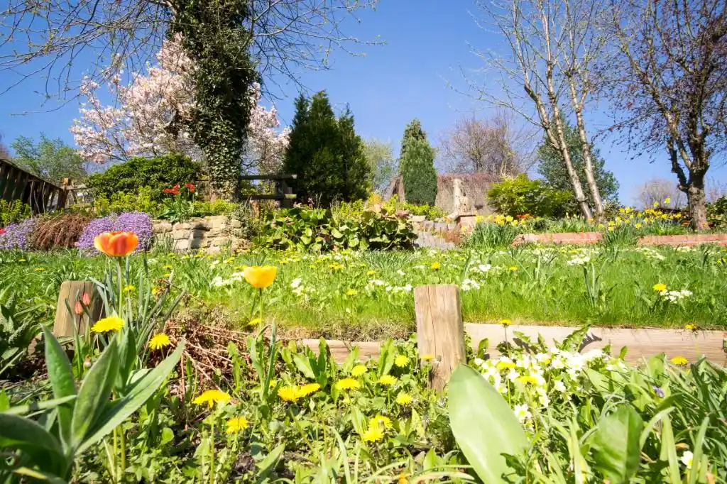 masuk-garden maşuk garden