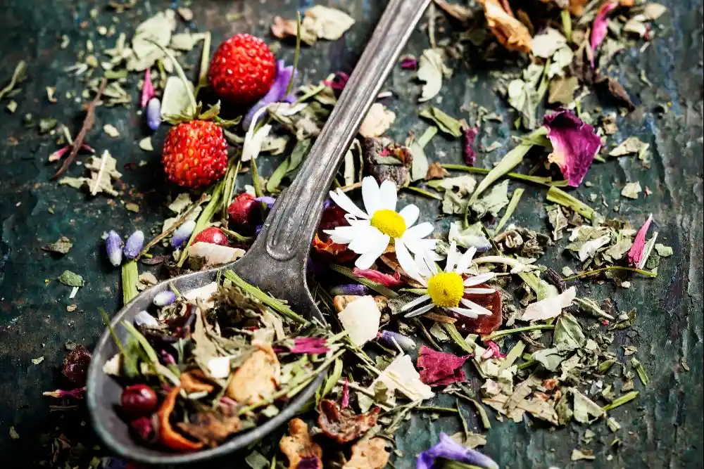 herbal (16)