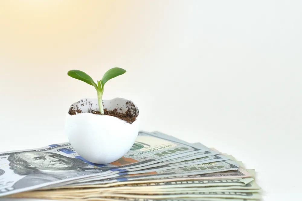 ABD doları banknotlarının üzerinde beyaz saksıda büyüyen genç bir bitki