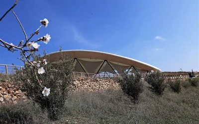 Göbeklitepe Mısır Piramitlerinden Kaç Yıl Daha Eskidir?