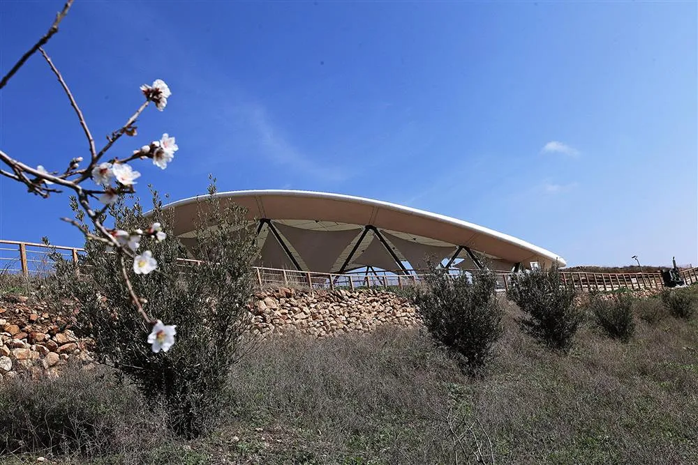 Göbeklitepe Mısır Piramitlerinden Kaç Yıl Daha Eskidir?