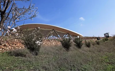 Göbeklitepe Mimarları Kimlerdir ve Nasıl Bir Teknoloji Kullanmışlardır?