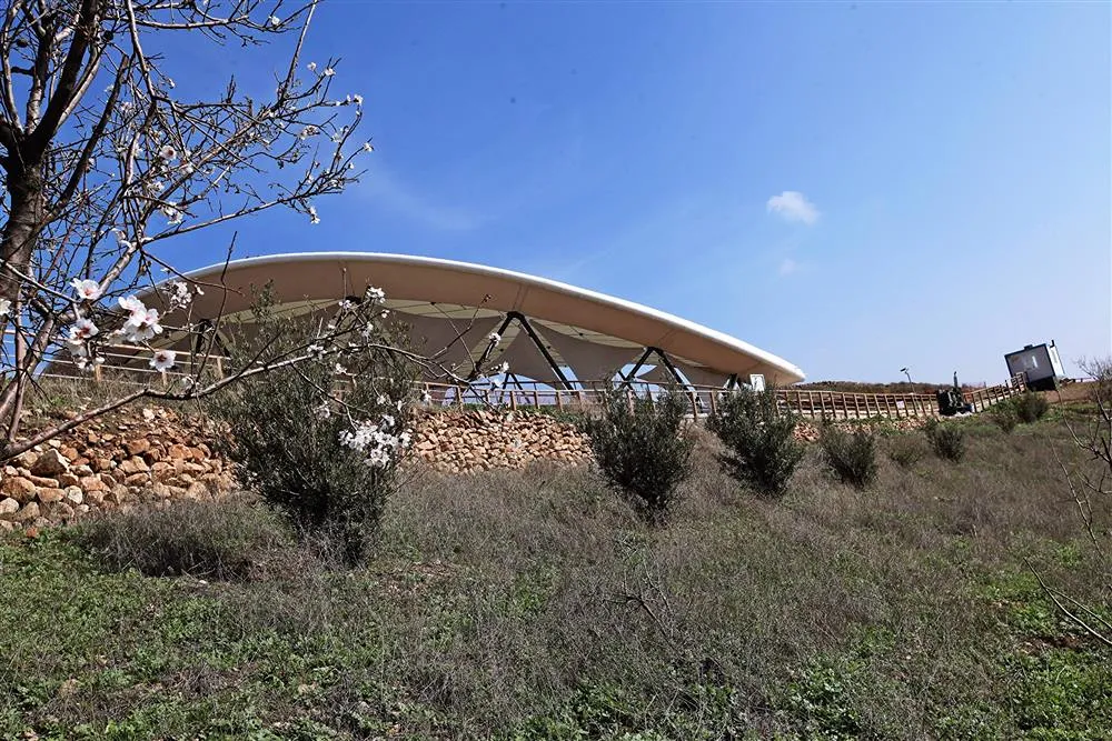 Çiçek açmış badem ağacının önünde, taş duvarlarla çevrili geniş çatılı bir yapı ve zeytin ağaçları