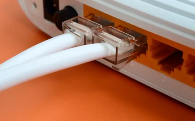 İnternet Erişimi Bir İnsan Hakkı mıdır?