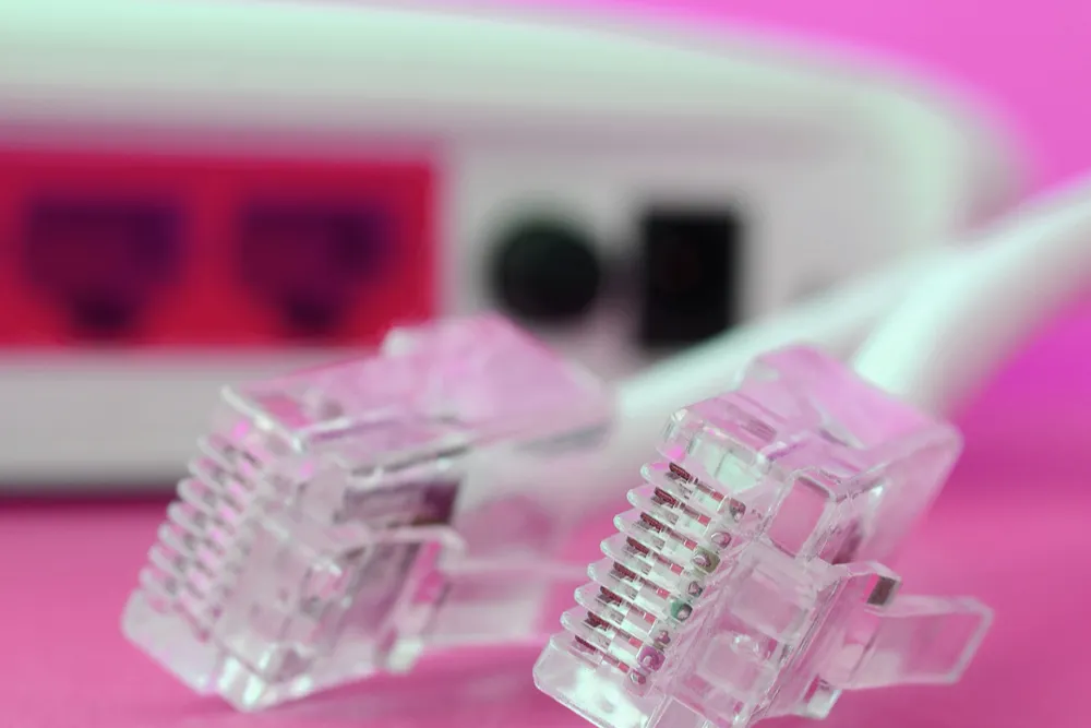 Pembe zemin üzerinde iki şeffaf Ethernet kablosu konnektörü