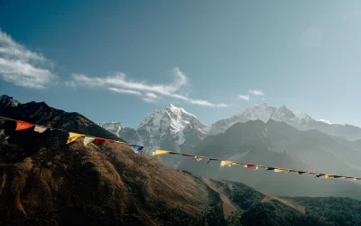 Nepal’in Bitki Örtüsü Ve Yaban Hayatı Nasıldır?
