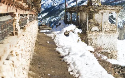Nepal’de Hangi Meyveler Yetişir?