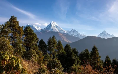 Nepal Bayrağı Neden Dikdörtgen Değildir?