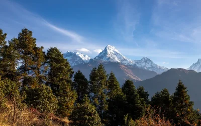 Nepal Ve Türkiye Arasındaki Mesafe Kaç Kilometredir?