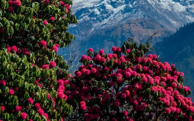 Nepal’in İklimi Nasıldır?