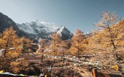 Everest Ana Kampına Nasıl Gidilir?